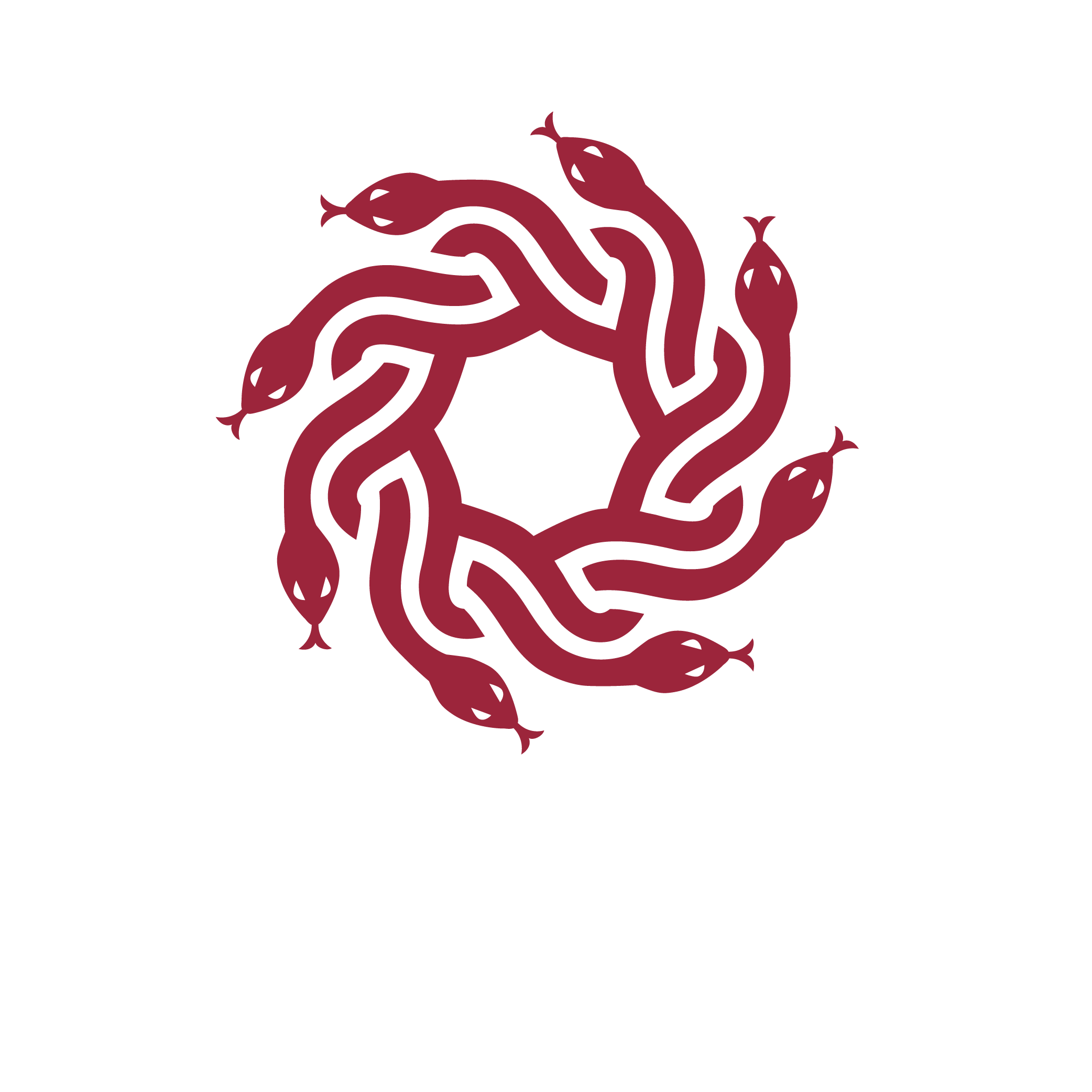 medusa_logo